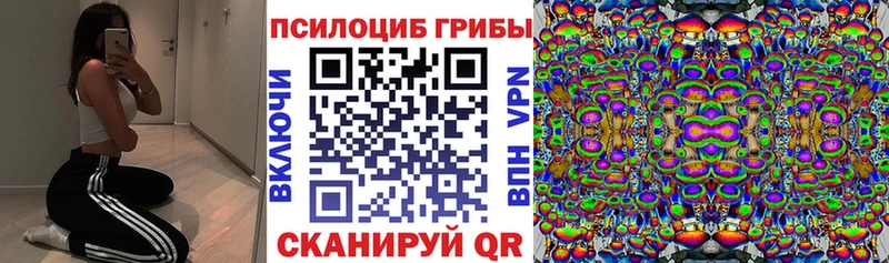 Галлюциногенные грибы прущие грибы  Ершов 
